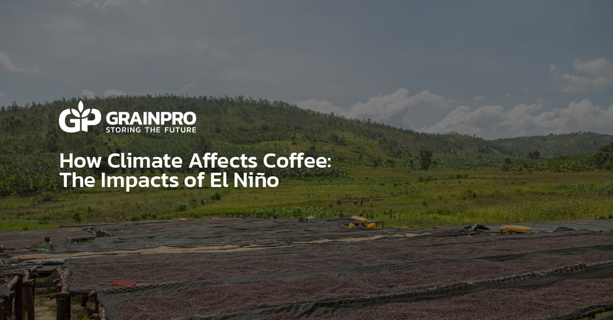 How to Secure Grain Quality and Quantity